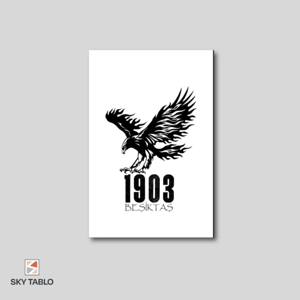 Beşiktaş’ın Kartalı