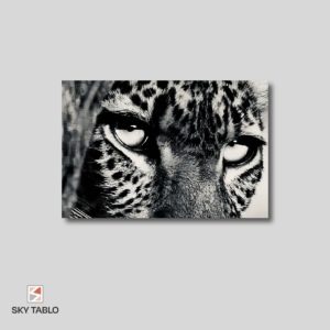 Vahşi Bakış Leopar