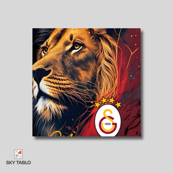 Galatasaray Onuru kare tablo yakından görünümü