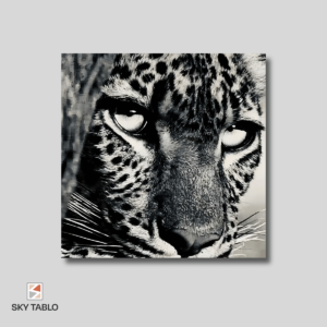 Leoparın Sessizliği kare tablo yakından görünümü
