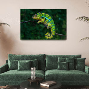 Doğanın Renk Ustası