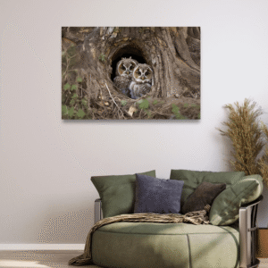 Gecenin Minik Bekçileri