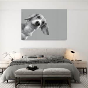 Köşeden Gelen Sevgi