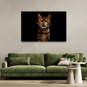 Zifiride Parlayan Pati