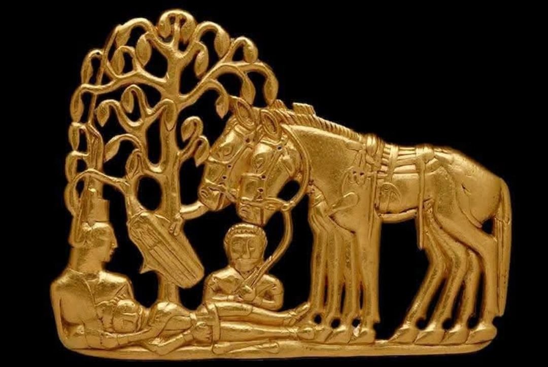 St. Petersburg Hermitage Müzesi Rehberi: Kışlık Saray ve Sanat Hazineleri